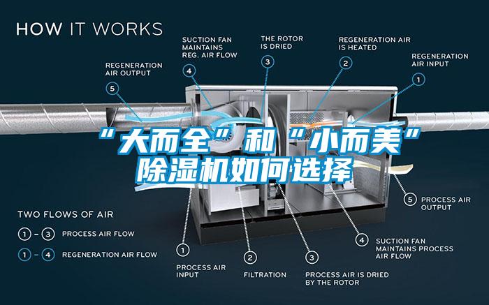 “大而全”和“小而美”蜜柚直播APP正版下载如何选择