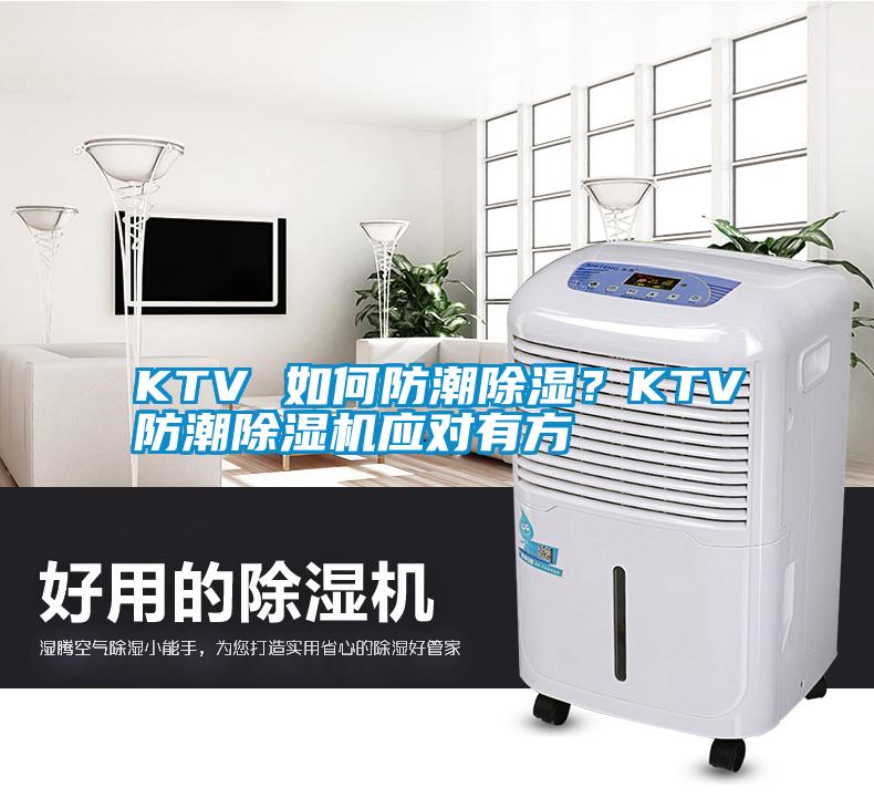 KTV 如何防潮除湿？KTV防潮蜜柚直播APP正版下载应对有方