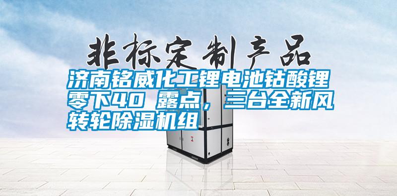 济南铭威化工锂电池钴酸锂零下40℃露点，三台全新风转轮蜜柚直播APP正版下载组