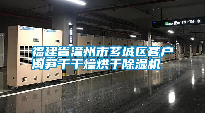 福建省漳州市芗城区客户闽笋干干燥烘干蜜柚直播APP正版下载