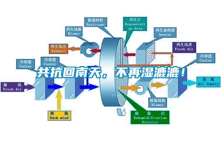 共抗回南天，不再湿漉漉！