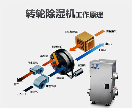 工业蜜柚直播APP正版下载厂家