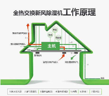 工业蜜柚直播APP正版下载厂家