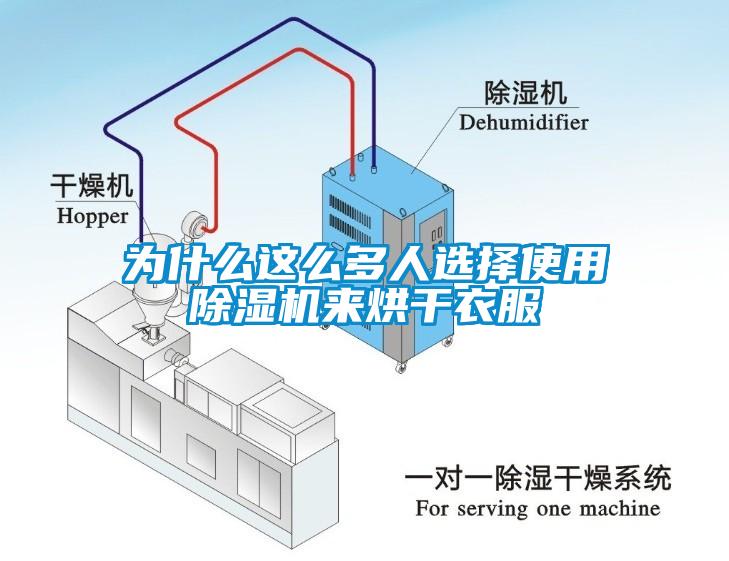 为什么这么多人选择使用蜜柚直播APP正版下载来烘干衣服