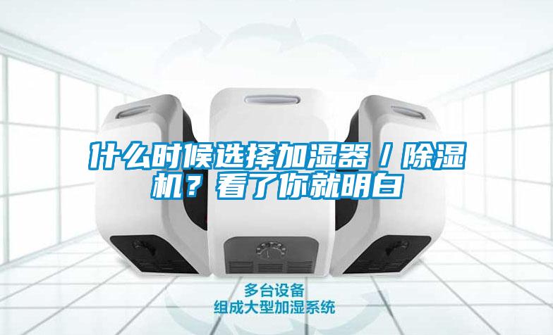 什么时候选择加湿器／蜜柚直播APP正版下载？看了你就明白