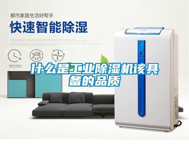 什么是工业蜜柚直播APP正版下载该具备的品质