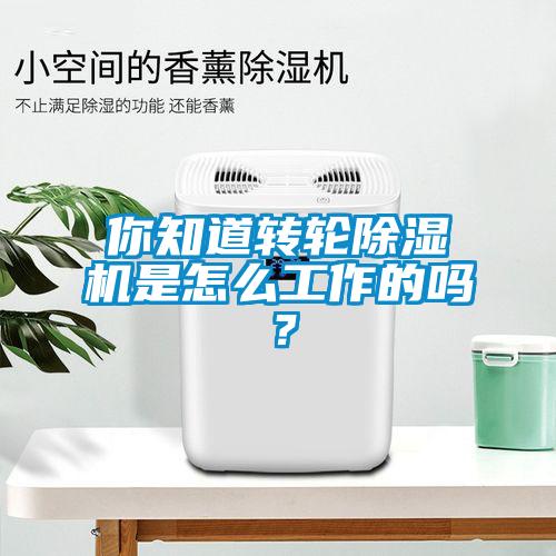 你知道转轮蜜柚直播APP正版下载是怎么工作的吗？