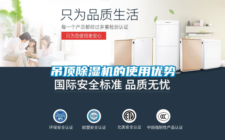 吊顶蜜柚直播APP正版下载的使用优势