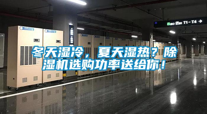 冬天湿冷，夏天湿热？蜜柚直播APP正版下载选购功率送给你！