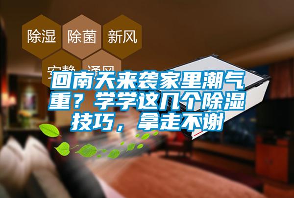 回南天来袭家里潮气重？学学这几个除湿技巧，拿走不谢