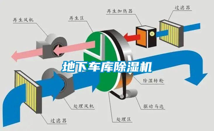 地下车库蜜柚直播APP正版下载