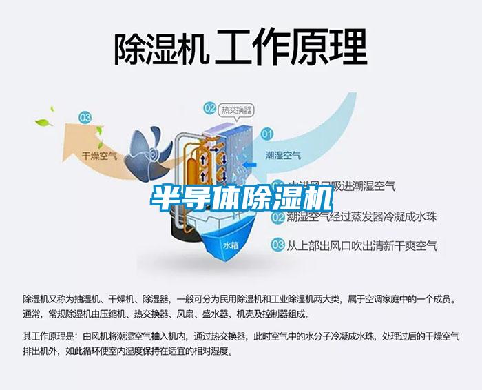 半导体蜜柚直播APP正版下载