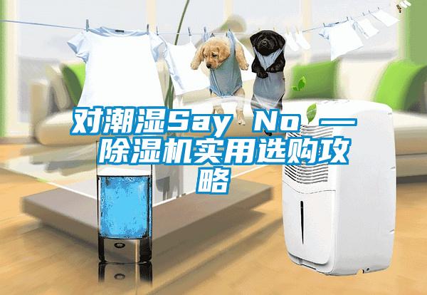 对潮湿Say No — 蜜柚直播APP正版下载实用选购攻略