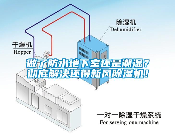 做了防水地下室还是潮湿？彻底解决还得新风蜜柚直播APP正版下载！