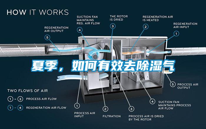 夏季，如何有效去除湿气