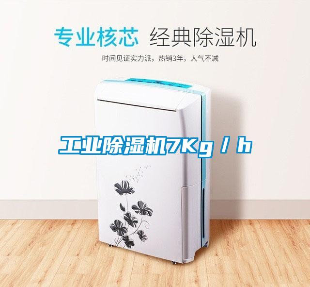 工业蜜柚直播APP正版下载7Kg／h