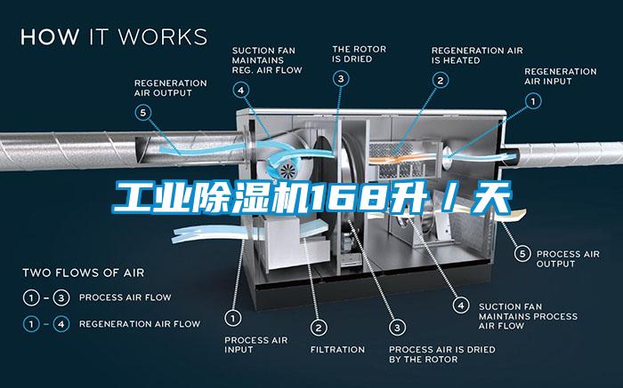 工业蜜柚直播APP正版下载168升／天