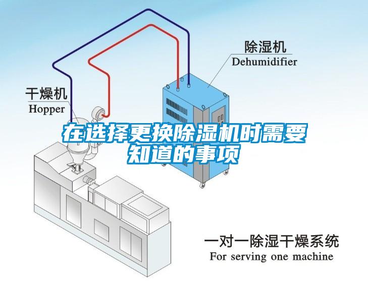 在选择更换蜜柚直播APP正版下载时需要知道的事项