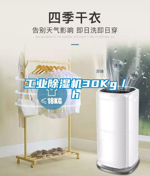 工业蜜柚直播APP正版下载30Kg／h