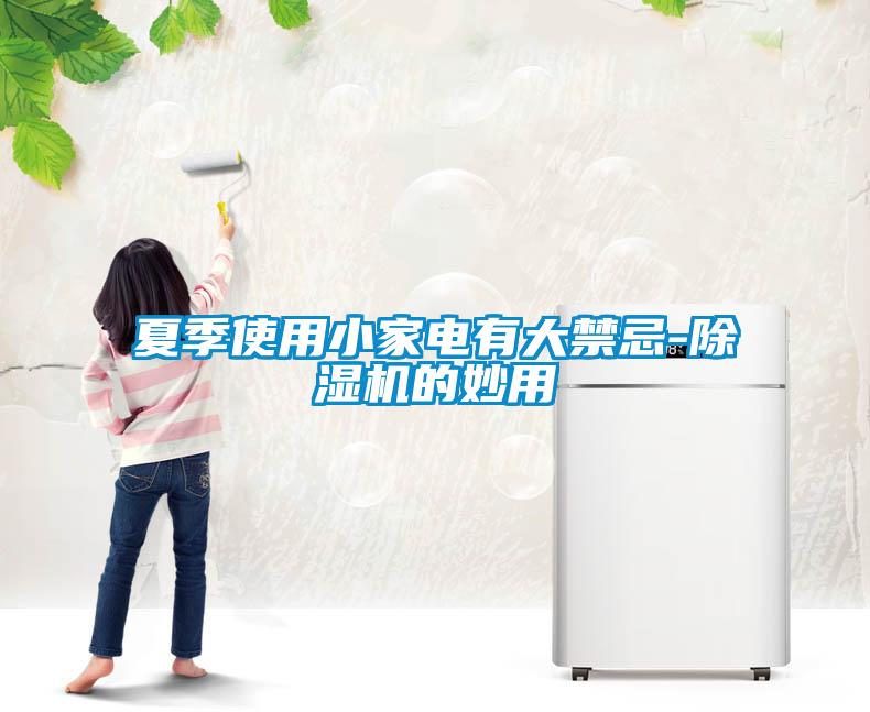 夏季使用小家电有大禁忌-蜜柚直播APP正版下载的妙用