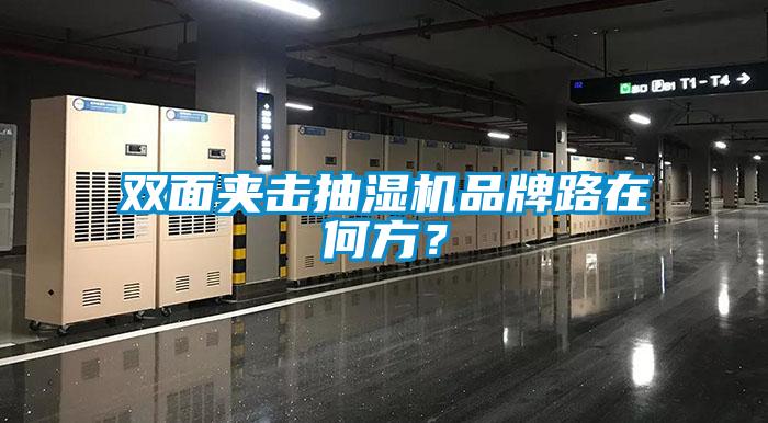 双面夹击抽湿机品牌路在何方？