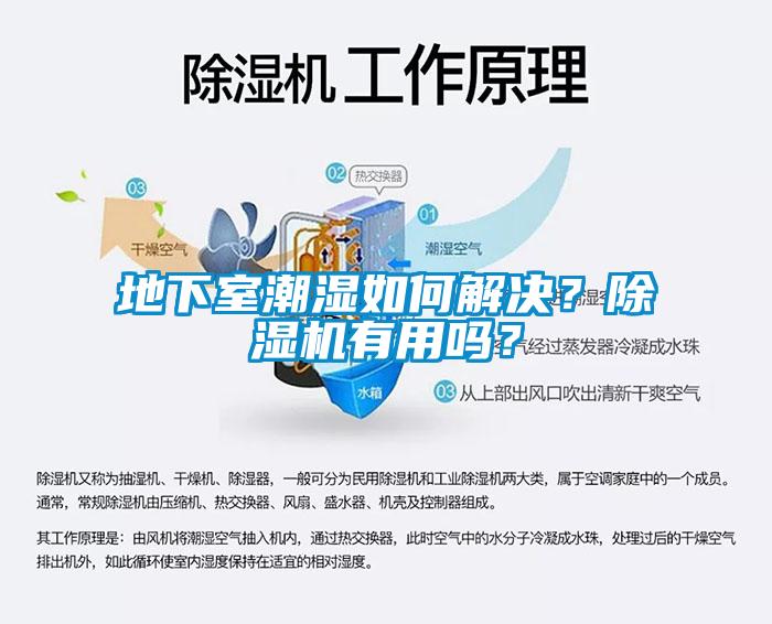 地下室潮湿如何解决？蜜柚直播APP正版下载有用吗？