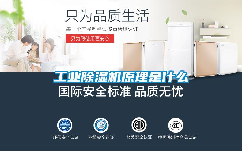 工业蜜柚直播APP正版下载原理是什么