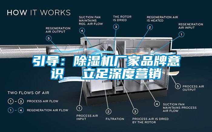 引导：蜜柚直播APP正版下载厂家品牌意识  立足深度营销