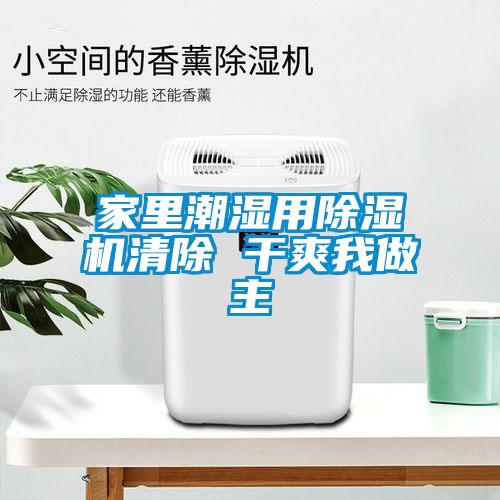 家里潮湿用蜜柚直播APP正版下载清除 干爽我做主