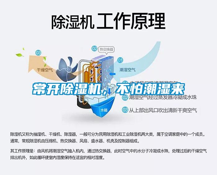 常开蜜柚直播APP正版下载，不怕潮湿来