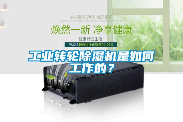 工业转轮蜜柚直播APP正版下载是如何工作的？