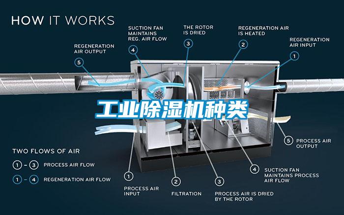 工业蜜柚直播APP正版下载种类