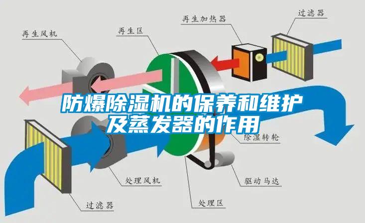 防爆蜜柚直播APP正版下载的保养和维护及蒸发器的作用