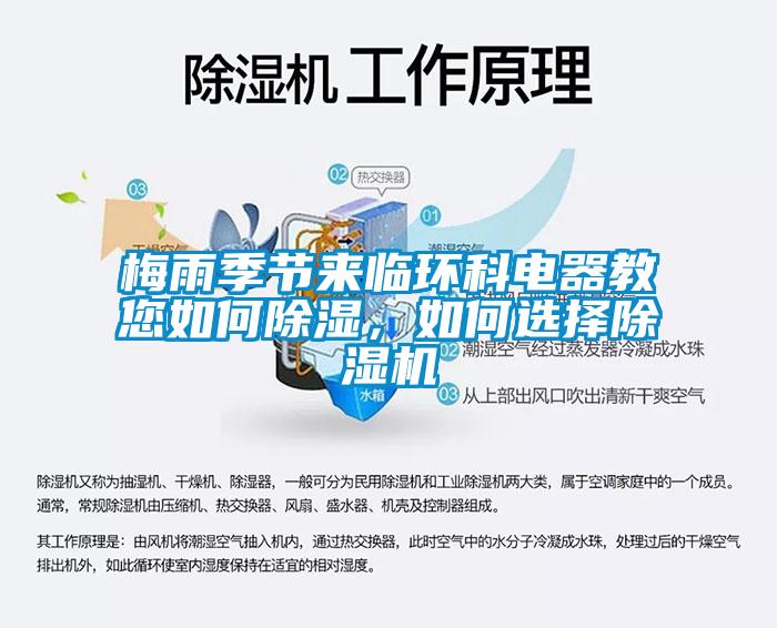 梅雨季节来临环科电器教您如何除湿，如何选择蜜柚直播APP正版下载