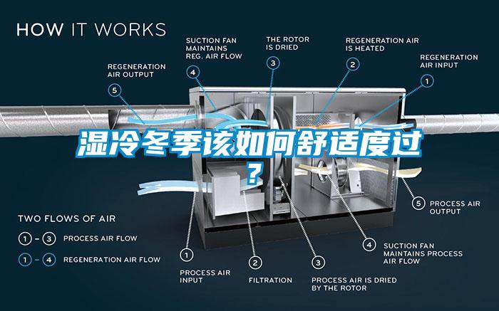 湿冷冬季该如何舒适度过？