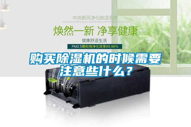 购买蜜柚直播APP正版下载的时候需要注意些什么？