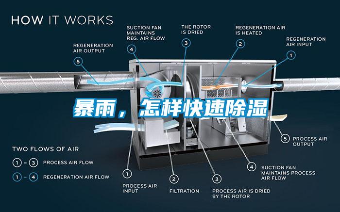 暴雨，怎样快速除湿