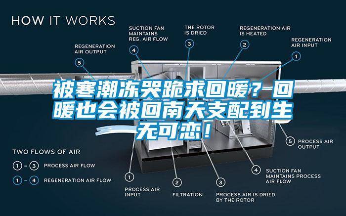 被寒潮冻哭跪求回暖？回暖也会被回南天支配到生无可恋！