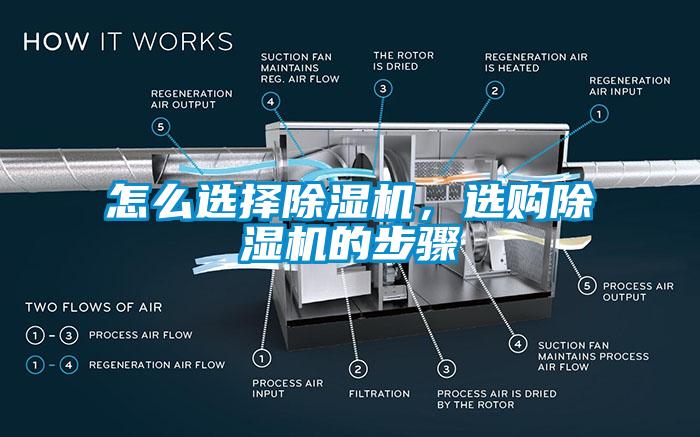 怎么选择蜜柚直播APP正版下载，选购蜜柚直播APP正版下载的步骤