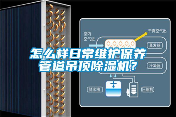 怎么样日常维护保养管道吊顶蜜柚直播APP正版下载？