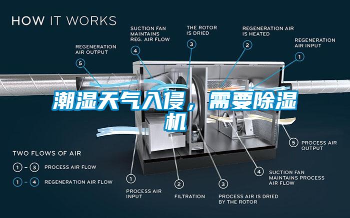 潮湿天气入侵，需要蜜柚直播APP正版下载