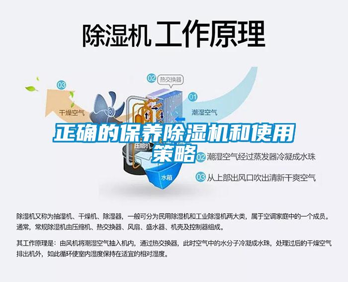 正确的保养蜜柚直播APP正版下载和使用策略