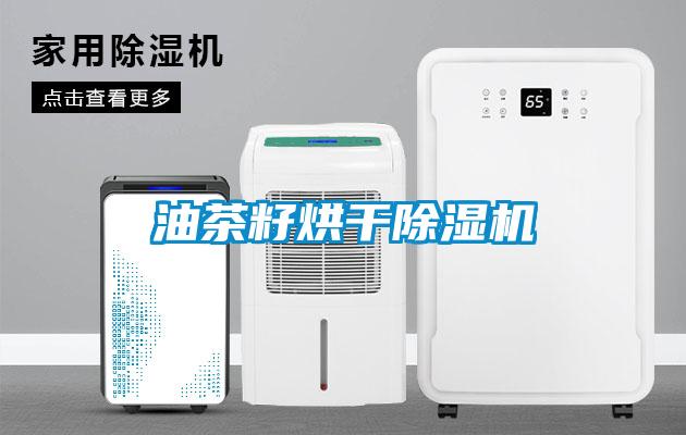 油茶籽烘干蜜柚直播APP正版下载