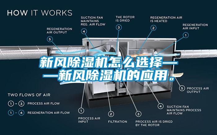 新风蜜柚直播APP正版下载怎么选择——新风蜜柚直播APP正版下载的应用。