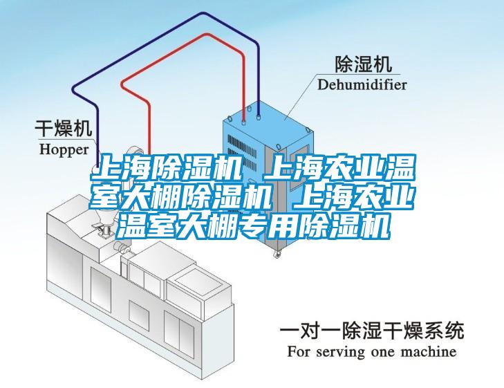 上海蜜柚直播APP正版下载 上海农业温室大棚蜜柚直播APP正版下载 上海农业温室大棚专用蜜柚直播APP正版下载