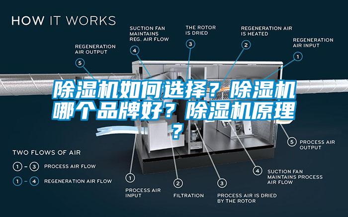 蜜柚直播APP正版下载如何选择？蜜柚直播APP正版下载哪个品牌好？蜜柚直播APP正版下载原理？