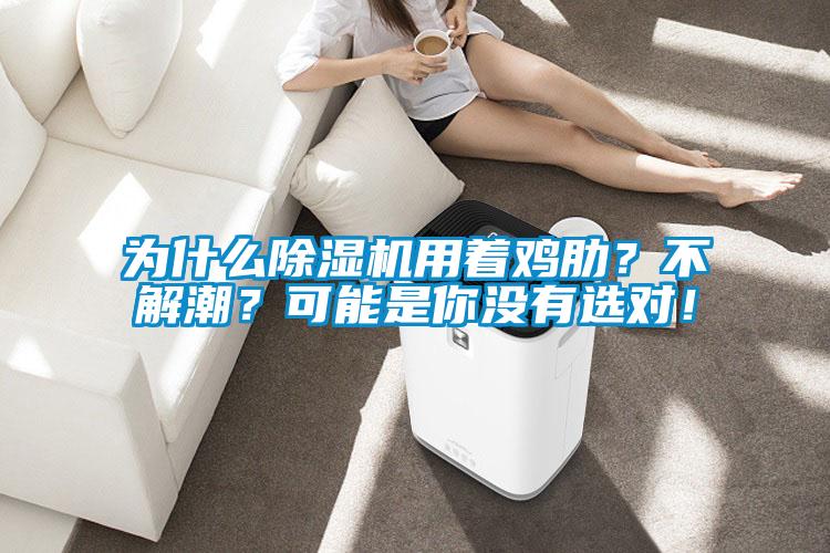 为什么蜜柚直播APP正版下载用着鸡肋？不解潮？可能是你没有选对！