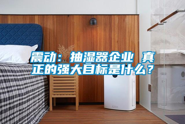 震动：抽湿器企业 真正的强大目标是什么？