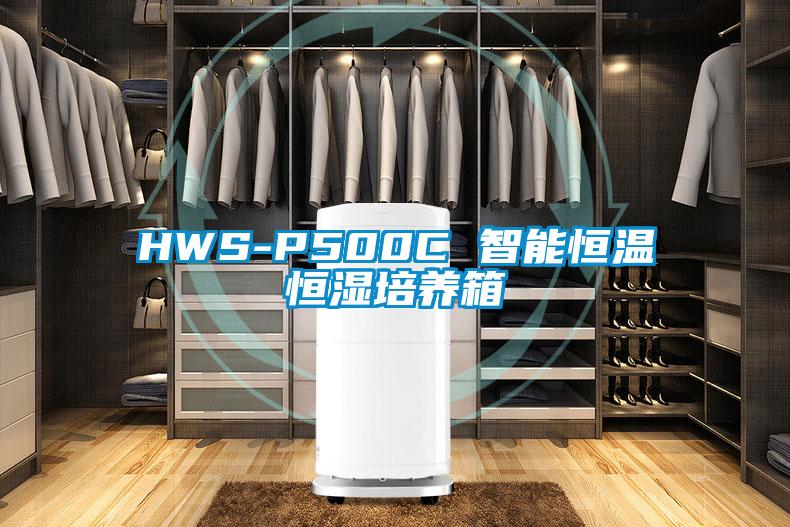 HWS-P500C 智能恒温恒湿培养箱