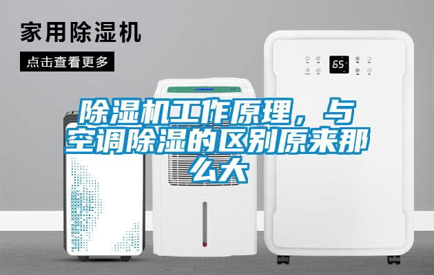 蜜柚直播APP正版下载工作原理，与空调除湿的区别原来那么大